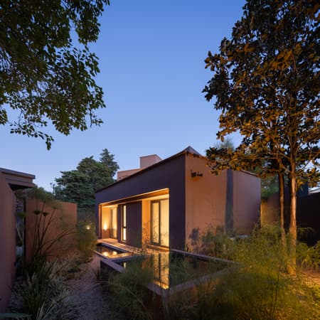 House around the Tree